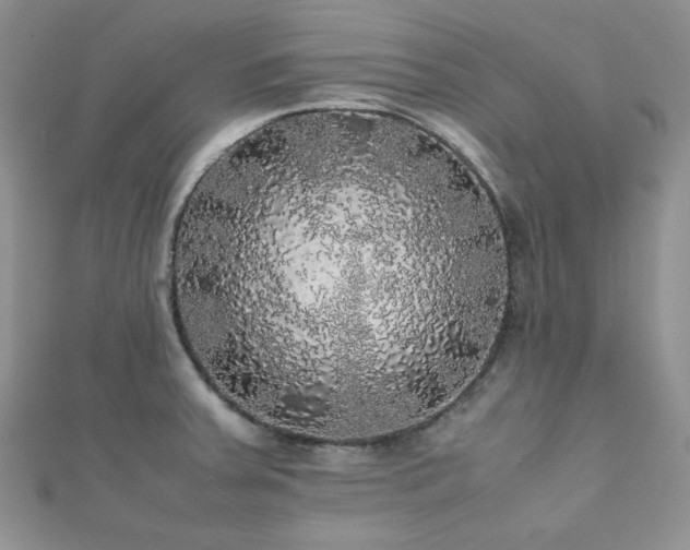 X0000112531379200908171411