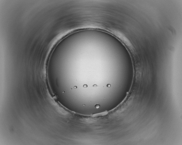 X0000112531380200908171411