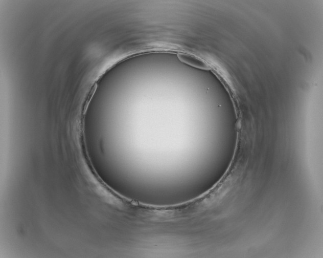 X0000112531381200908171411