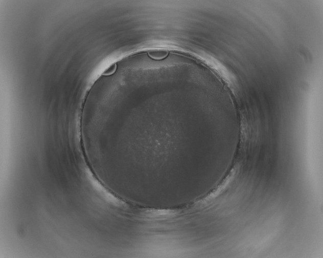 X0000112531382200908171411