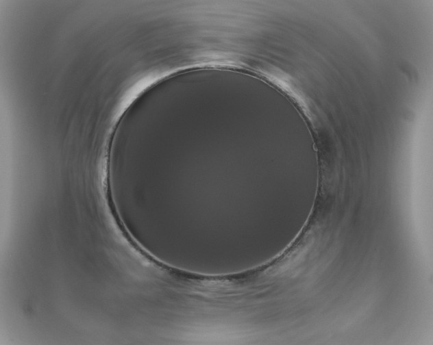 X0000112531383200908171411
