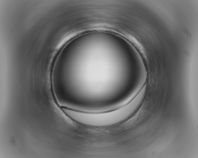 X0000112531384200908171411