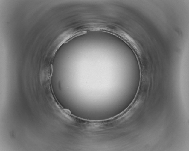 X0000112531385200908171411