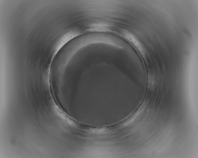 X0000112531386200908171411