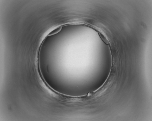 X0000112531387200908171411