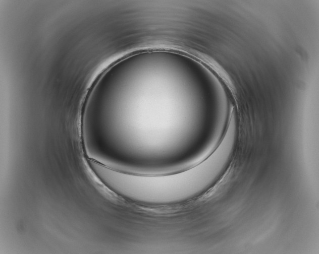 X0000112531388200908171411