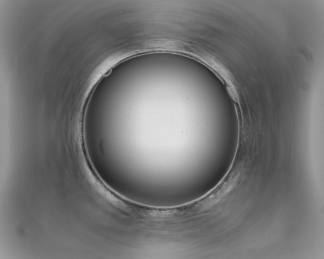 X0000112531389200908171411