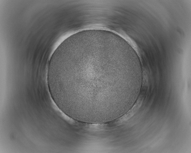 X0000112531390200908171411