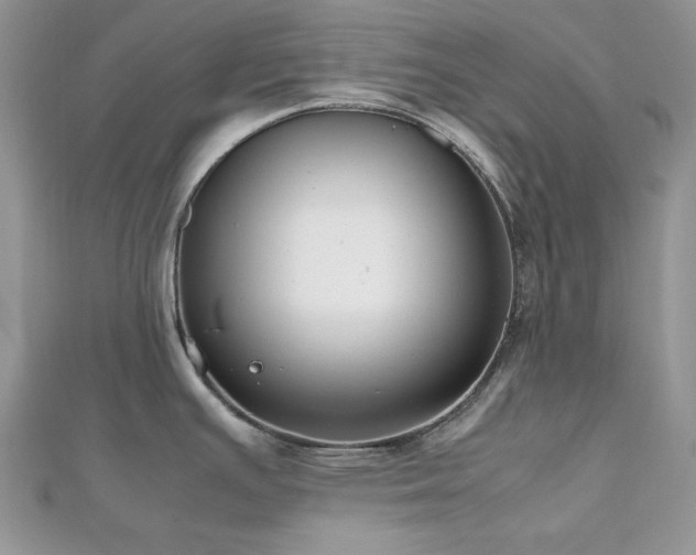 X0000112531391200908171411