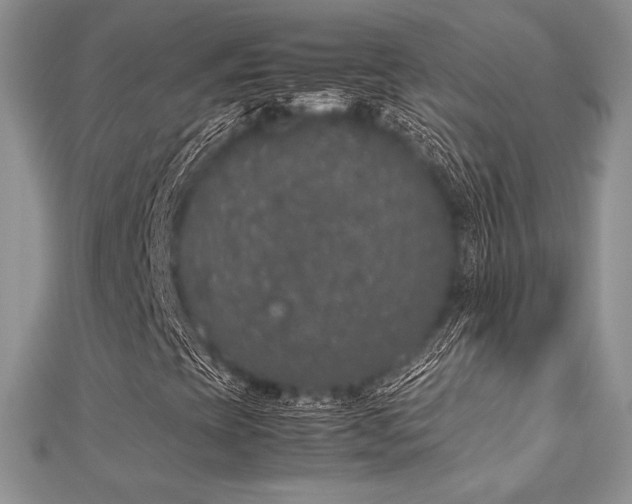 X0000112531393200908171410