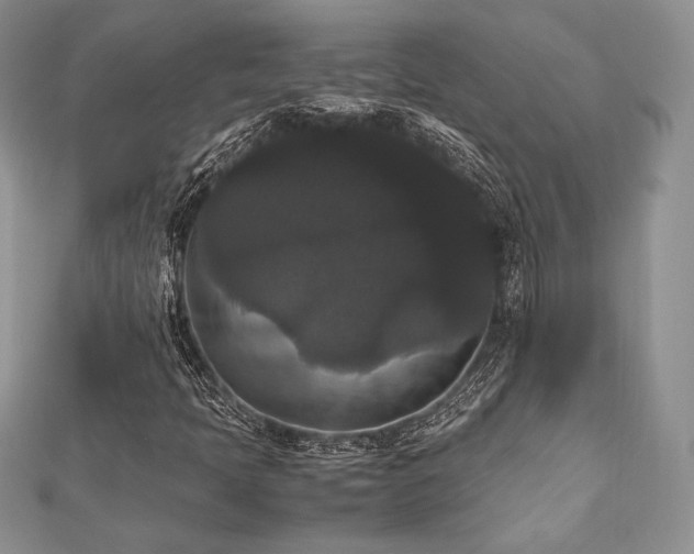 X0000112531397200908171410