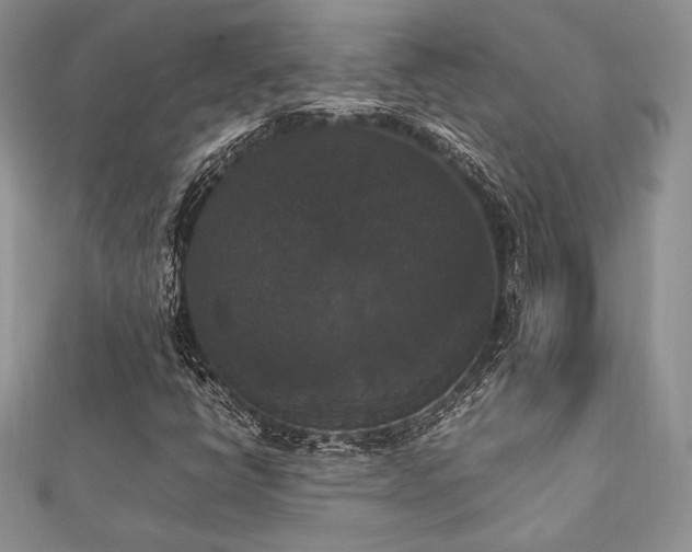 X0000112531398200908171410