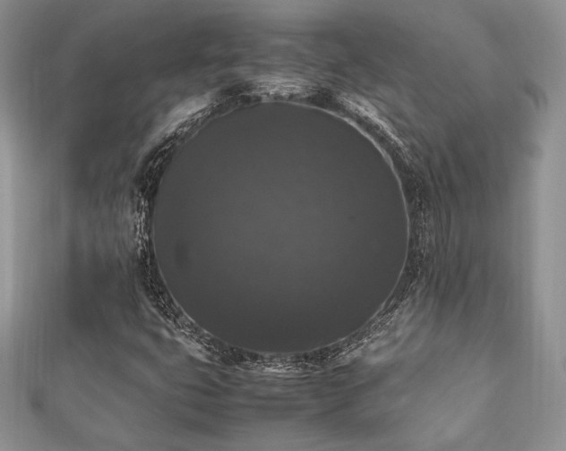 X0000112531399200908171410