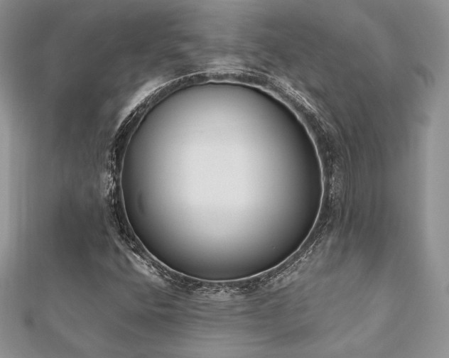 X0000112531400200908171410