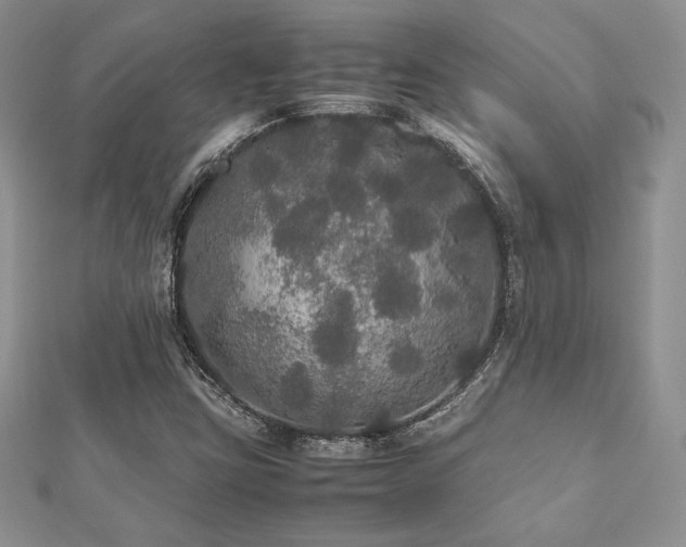 X0000112531403200908171410