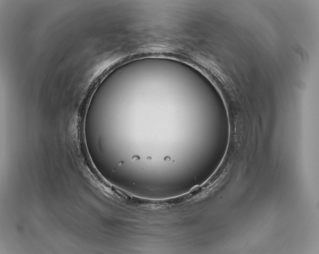 X0000112531404200908171410
