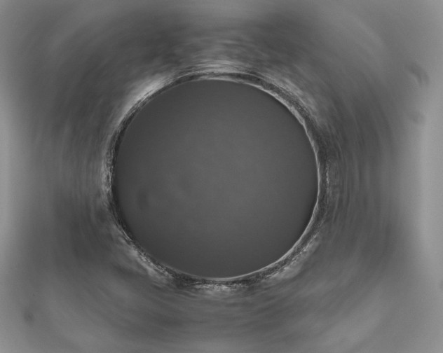 X0000112531405200908171410