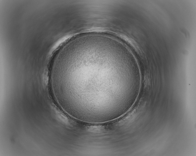 X0000112531406200908171410