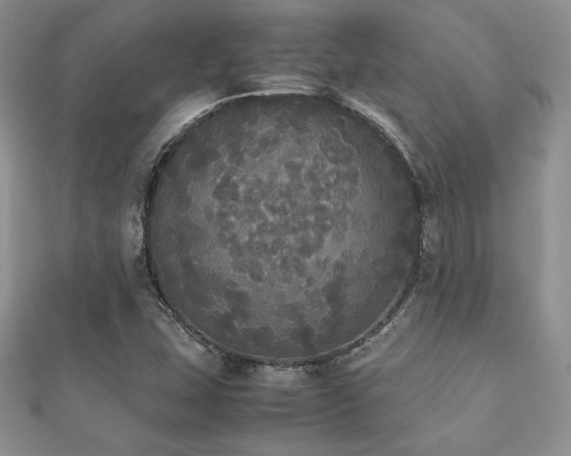 X0000112531407200908171410