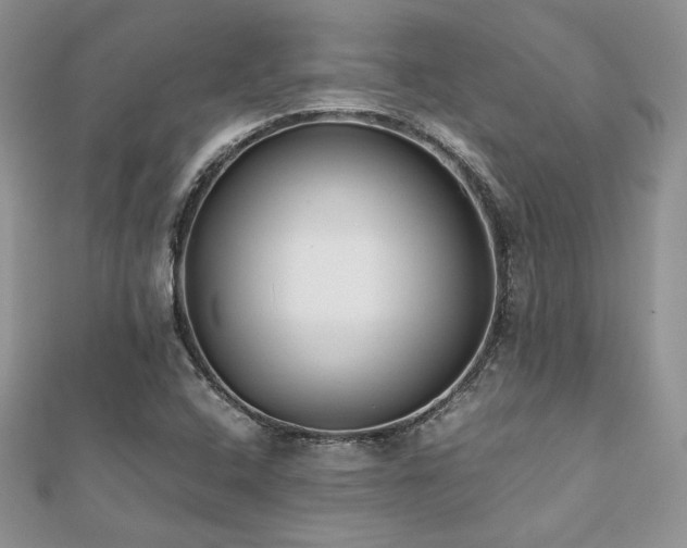 X0000112531408200908171410