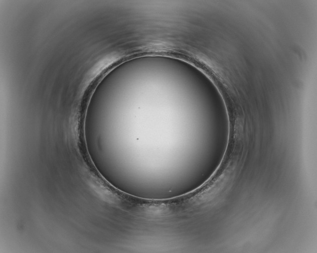 X0000112531410200908171410
