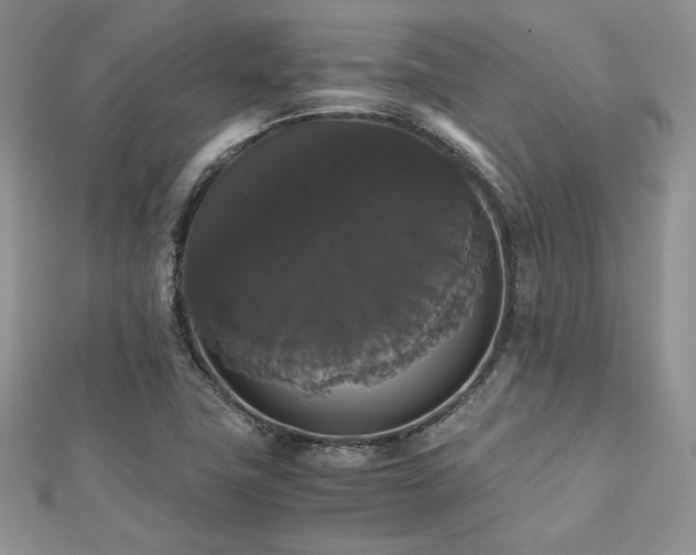 X0000112531411200908171410