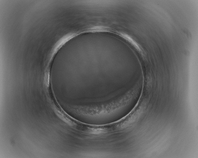 X0000112531413200908171411