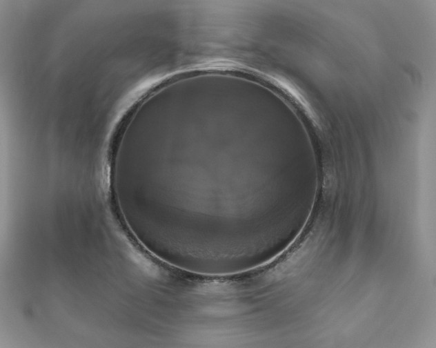 X0000112531414200908171411