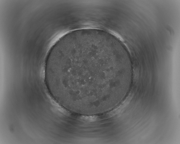 X0000112531415200908171411