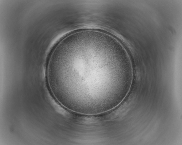 X0000112531416200908171411