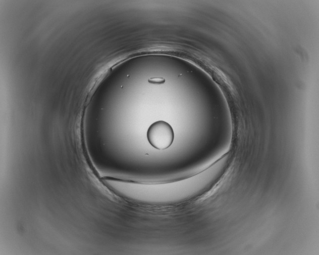 X0000112531417200908171411