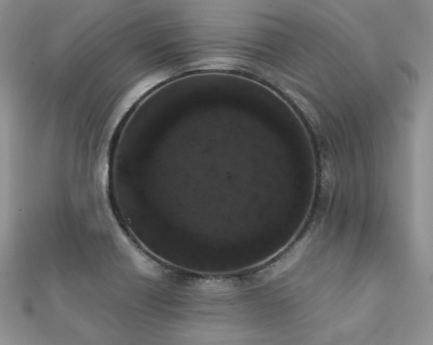 X0000112531418200908171411
