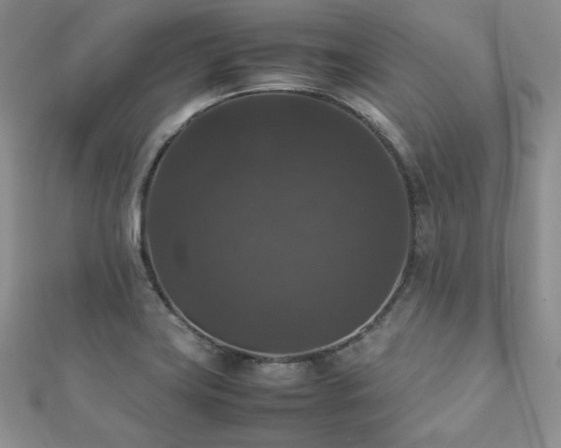 X0000112531419200908171411