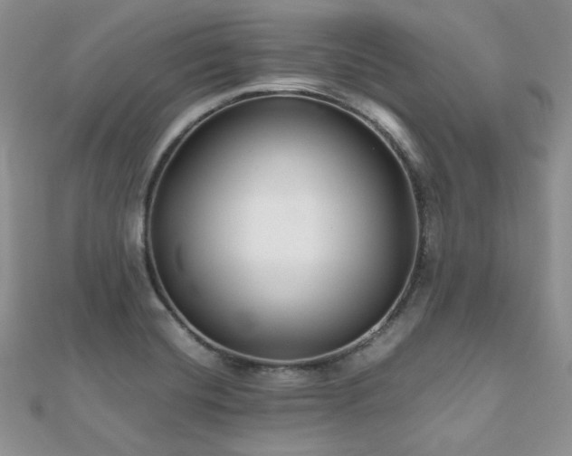 X0000112531420200908171411