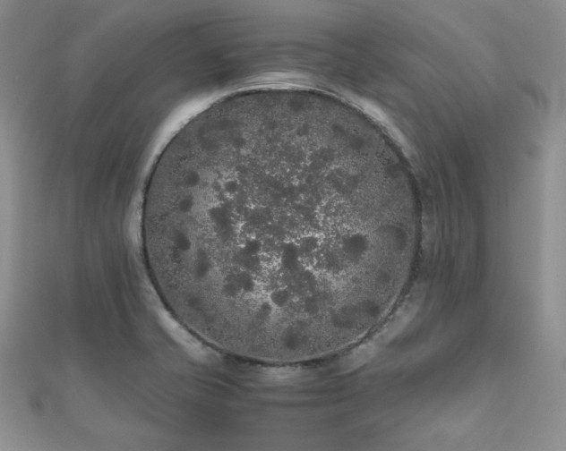 X0000112531421200908171411