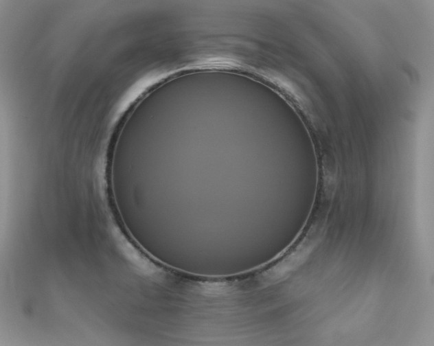 X0000112531422200908171411