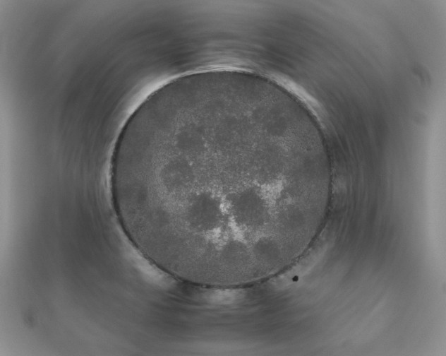 X0000112531423200908171411