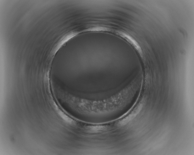 X0000112531425200908171411