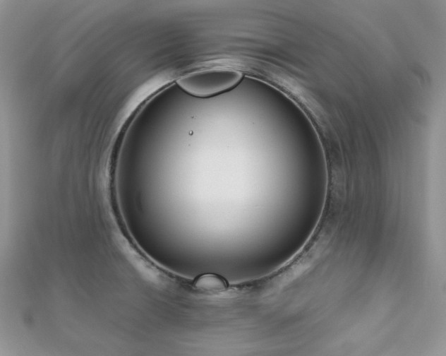 X0000112531426200908171411
