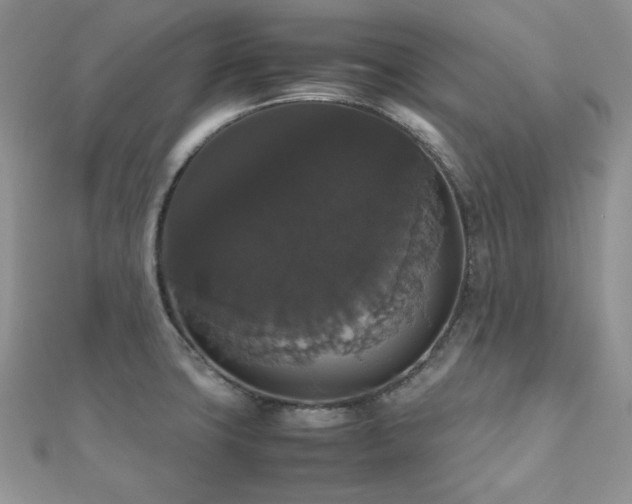 X0000112531427200908171411