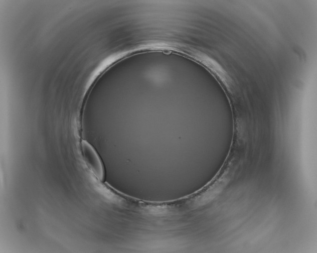 X0000112531428200908171411
