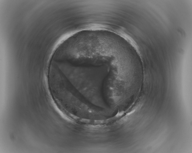 X0000112531429200908171411