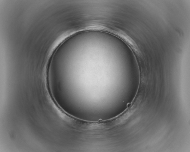 X0000112531430200908171411