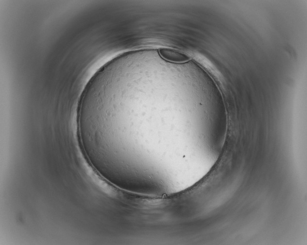 X0000112531431200908171411