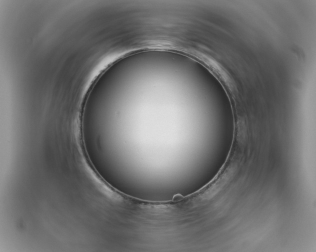 X0000112531432200908171411