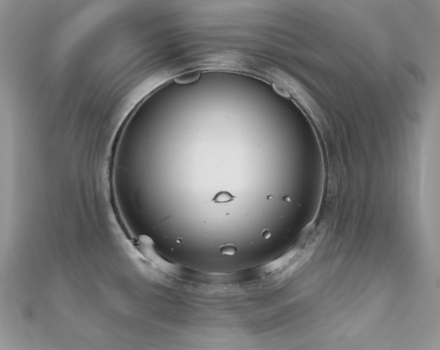 X0000112531434200908171411