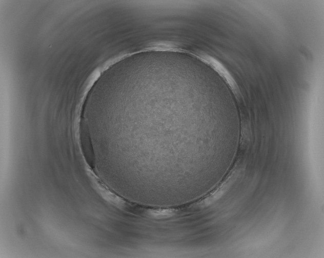 X0000112531435200908171411