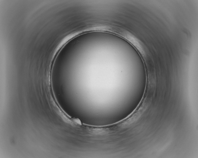 X0000112531436200908171411