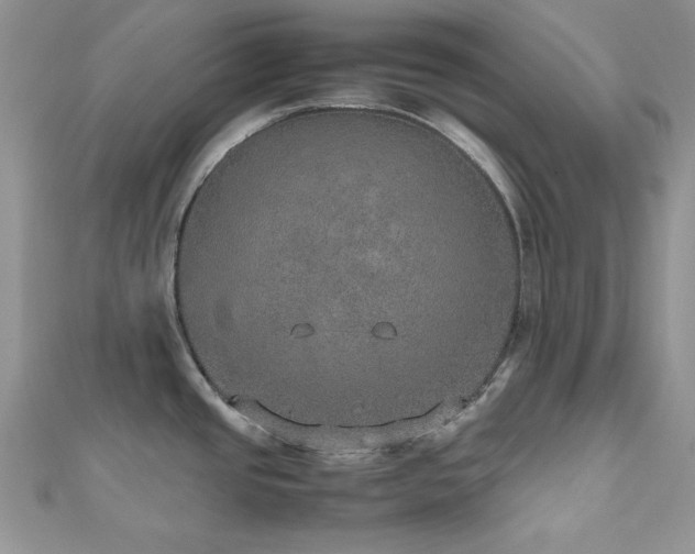 X0000112531437200908171411