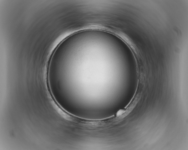 X0000112531438200908171411